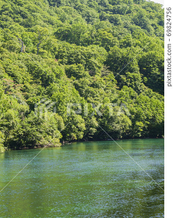 Dense and overgrown forest and green river surface 02 Dense and overgrown forest and green river surface 02 69824756