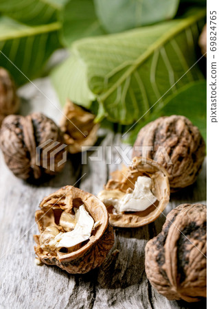 Walnuts and leaves 69824765