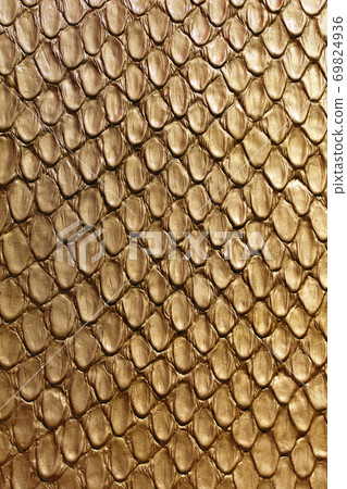 Gold snake texture 69824936