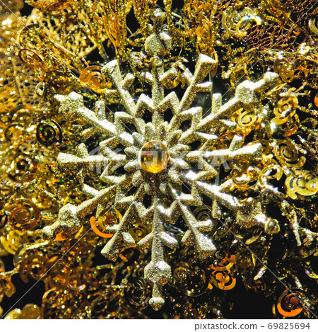 Sparkling snowflake Sparkling snowflake 69825694