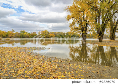 flooded shore of Missouri River 69826070