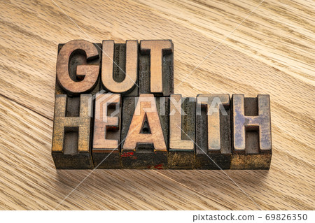 gut health in wood type 69826350