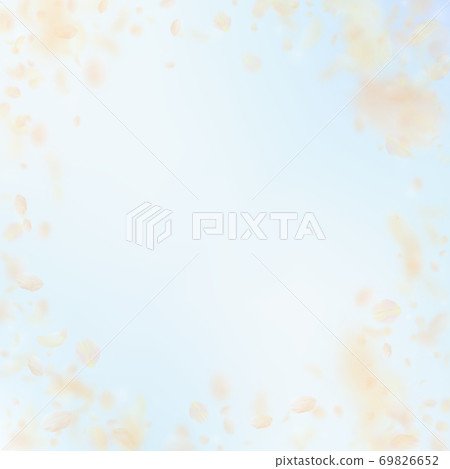 Yellow orange flower petals falling down. Beauteou Yellow orange flower petals falling down. Beauteou 69826652