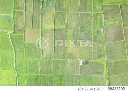 Cultivated land and land plot or land lot in aerial view. Cultivated land and land plot or land lot in aerial view. 69827305