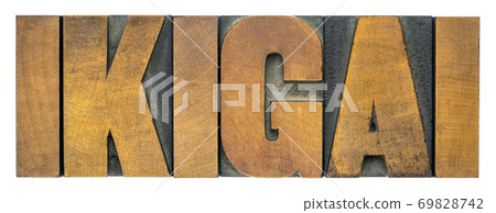 ikigai word abstract - a reason for being 69828742