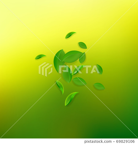 Falling green leaves. Fresh tea chaotic leaves fly Falling green leaves. Fresh tea chaotic leaves fly 69829106