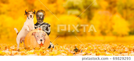 Dog with Devils horns and kid in skeleton costume behind Halloween pumpkin on Fall lawn 69829293