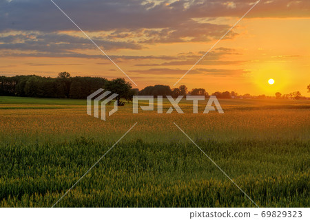 Beautiful sunset over summer fields 69829323