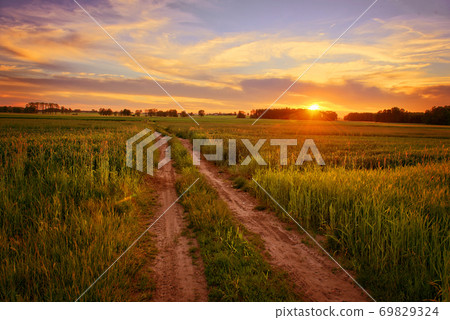 Beautiful sunset over summer fields Beautiful sunset over summer fields 69829324