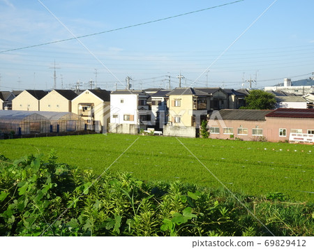 稻田和住宅區的乙烯基房子的視圖 69829412