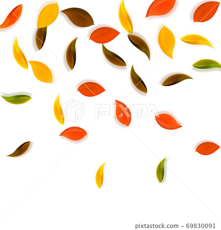 Falling autumn leaves. Red, yellow, green, brown n Falling autumn leaves. Red, yellow, green, brown n 69830091