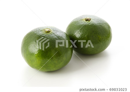 Blue cutting wenzhou oranges 69831023