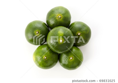 Blue cutting wenzhou oranges 69831025