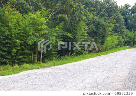 美麗的鄉村景觀，與土路 69831339