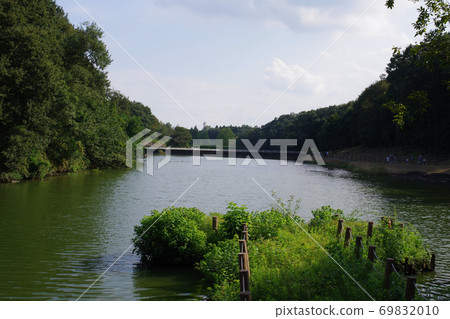 Swampy scenery 69832010