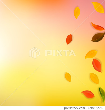 Falling autumn leaves. Red, yellow, green, brown n Falling autumn leaves. Red, yellow, green, brown n 69832276