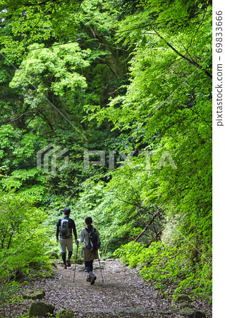 Tanzawa Oyama National Park Trekking Forest Bath Hiker Climbing 2 Tanzawa Oyama National Park Trekking Forest Bath Hiker Climbing 2 69833666