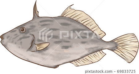 Simple and realistic illustration of black scraper Simple and realistic illustration of black scraper 69833725