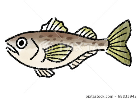 Hatahata Hatahata鰻魚魚手繪 插圖素材 圖庫