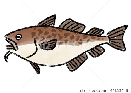 塔拉鱈魚手繪 69833946