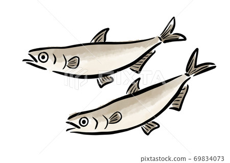 Shishamo Shishamo Yanagiha魚魚刷手繪 插圖素材 圖庫