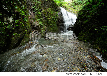 秋田縣石澤大aki閃耀在樹林中 69834209