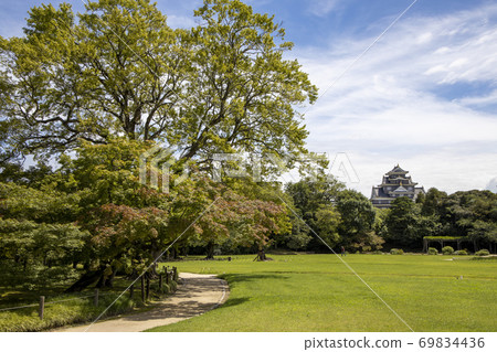 A view of a tall tree in Okayama Korakuen during the rainy season 69834436