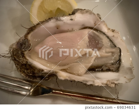 Raw oysters and lemon on a plate photo material 69834631