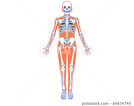 Human body Human body 69834749