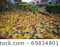 Fallen leaves 69834801