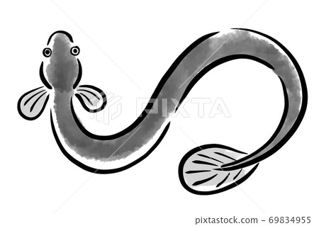 鰻魚，鰻魚，鰻魚，魚，手繪 69834955