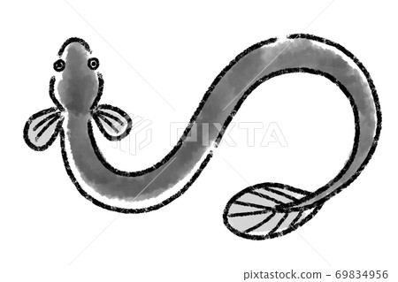 鰻魚，鰻魚，鰻魚，魚，手繪 69834956