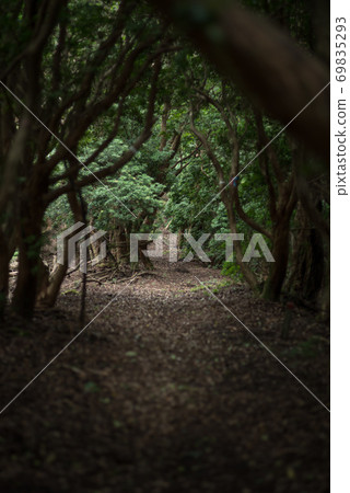 Trail Trail 69835293