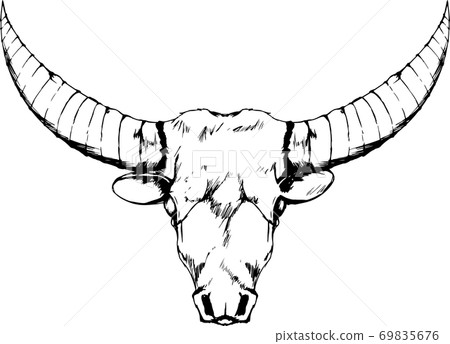 Realistic and simple line art of cow’s head - Stock Illustration