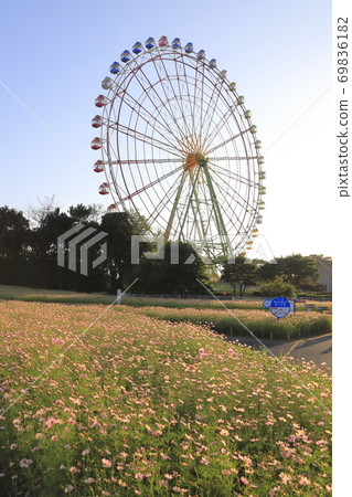 國立日立海欣公園,淡橙色的宇宙和摩天輪 國立日立海欣公園,淡橙色的宇宙和摩天輪 69836182