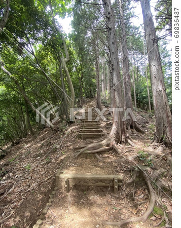 Nanshan promenade 69836487