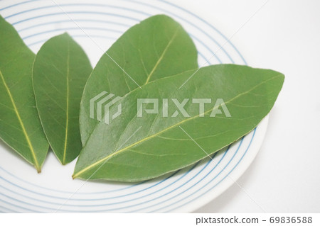Laurel leaves and Japanese tableware 69836588