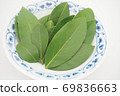 Up of raw bay laurel leaves lined up in Japanese dishes 2 69836663
