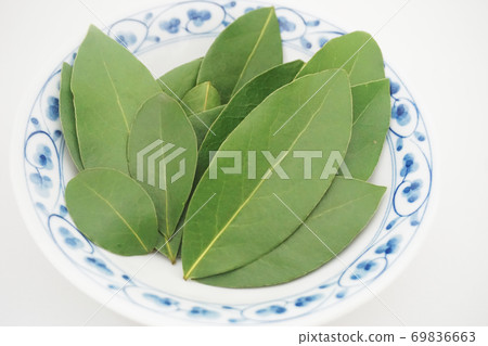 在日本碗裡排隊晾乾之前，將月桂樹的原始葉子弄起來2 69836663