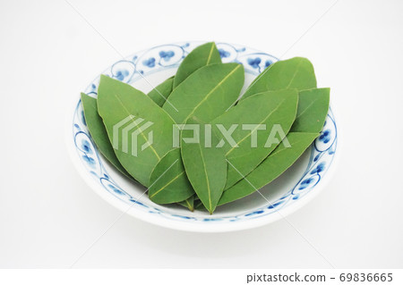 Undried bay leaves in Japanese dishes 69836665