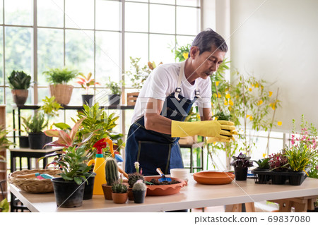 Happy senior gardener man taking care of his plants in greenhouse. 69837080