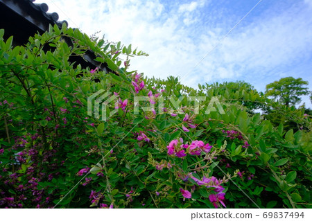Gango-ji Temple, a cultural property of the ancient city of Nara 69837494