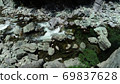 In search of Omogo River deep blue fresh green (4K aerial cutout), Omogo Blue 69837628