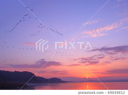 泉沼的早晨航班 泉沼的早晨航班 69839812