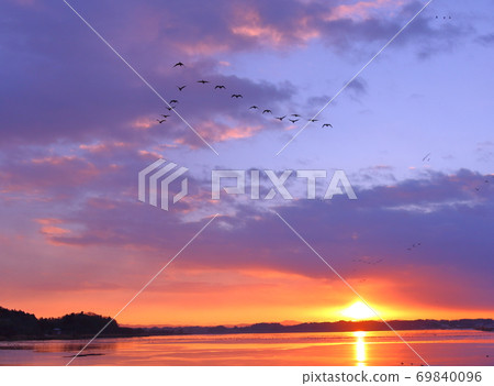 Morning flight of Izunuma Morning flight of Izunuma 69840096