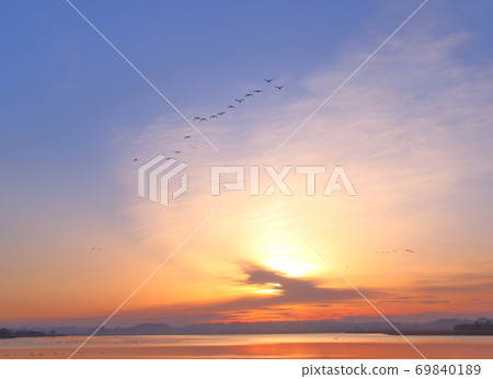 Morning flight of Izunuma Morning flight of Izunuma 69840189