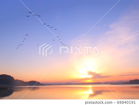 Morning flight of Izunuma Morning flight of Izunuma 69840191