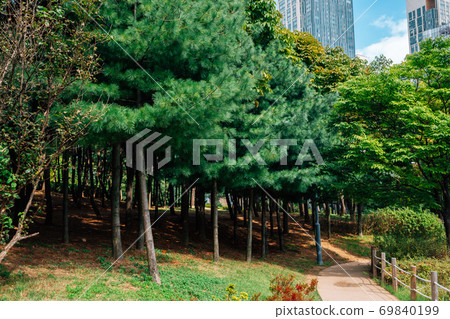 Green trees road at Songdo Central Park in Incheon, Korea 69840199