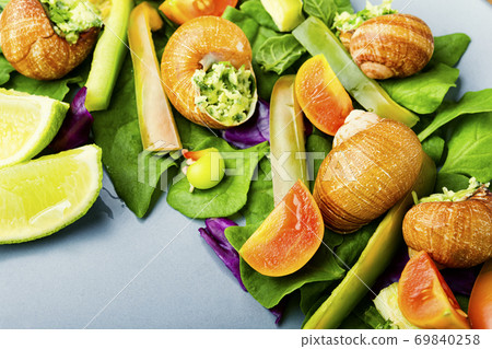 Salad with vegetables and snails 69840258