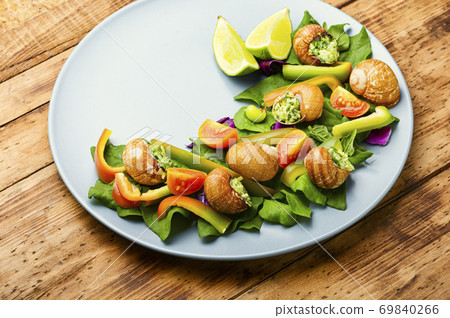 Salad with vegetables and snails 69840266